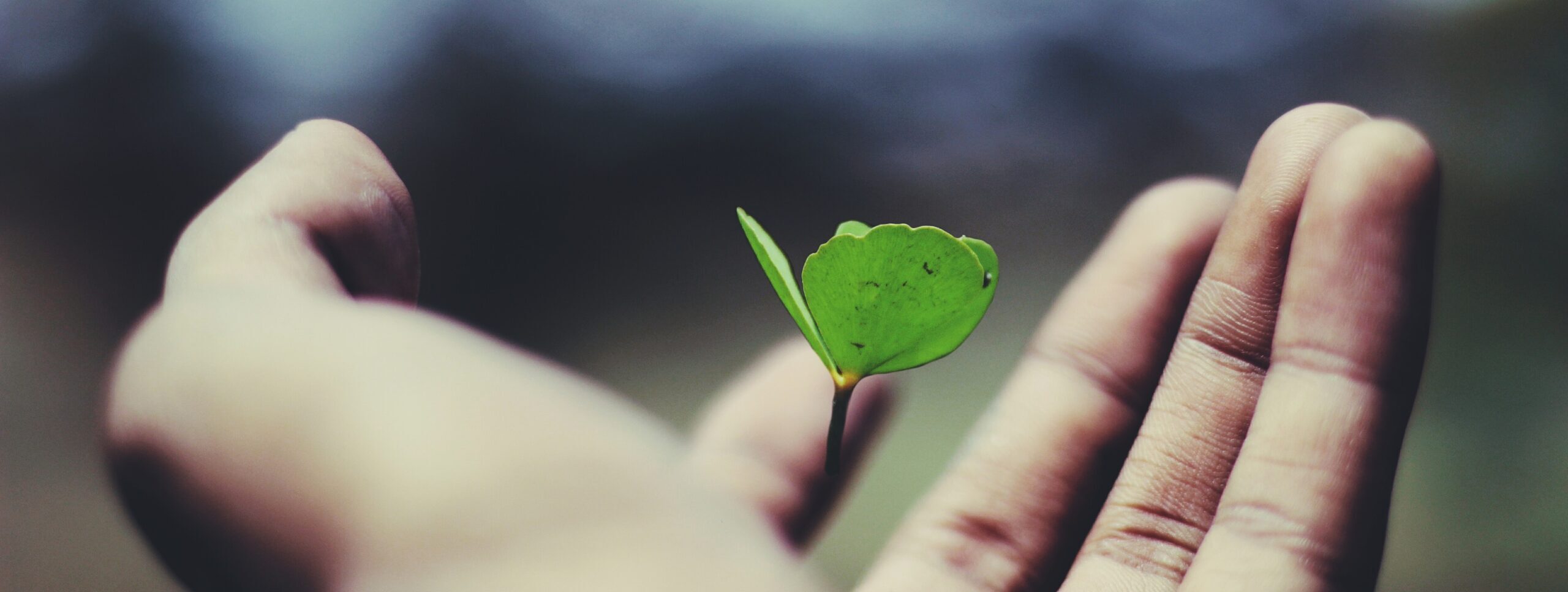 Featured image for “Nina Skjersåker – ny leder i Stiftelsen Guts”